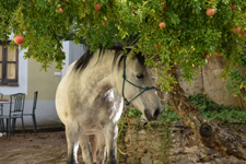 Spain-Central Spain-Extremadura Getaway